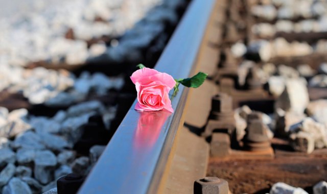 El triple crimen desató una ola de condenas, en un país donde la lucha contra la violencia de género es una cuestión de Estado desde 2004. Pixabay