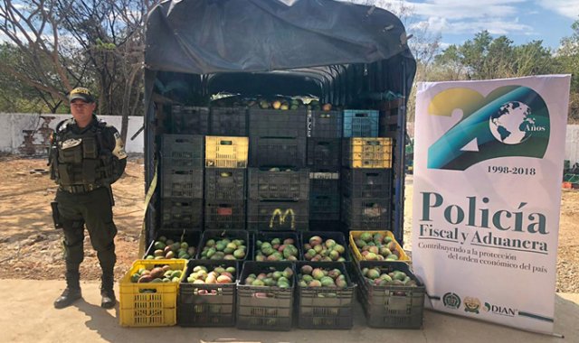 Estos alimentos están expuestos a contaminarse con bacterias, virus y parásitos, por las malas prácticas de cultivo, manipulación y transporte.
Policía