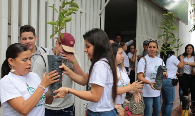 La campaña ‘Todo por un árbol’ es liderada por Corponor.
César Obando