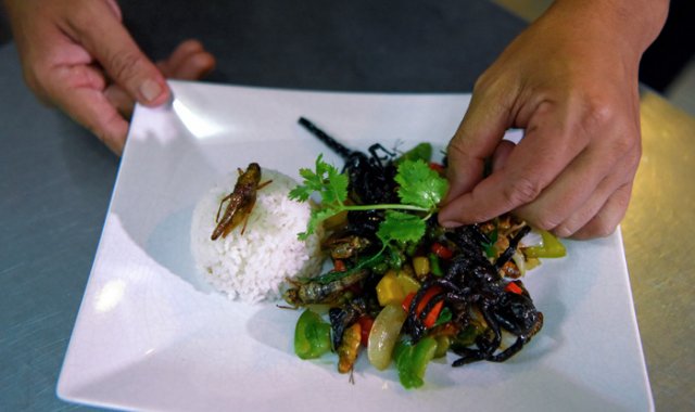 Comer insectos es algo frecuente en el país, pero generalmente se sirven en pequeños puestos callejeros, fritos y con una salsa. AFP
