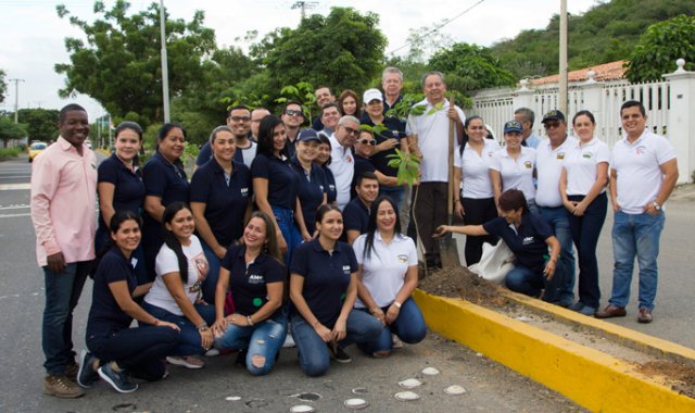 ‘Sembratón’ de cañaguates.
Alfredo Estévez