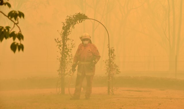 Miles de bomberos combaten el fuego en los bosques. AFP