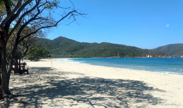 La Embajada de Argentina adelanta los trámites para la repatriación del cuerpo. Colprensa