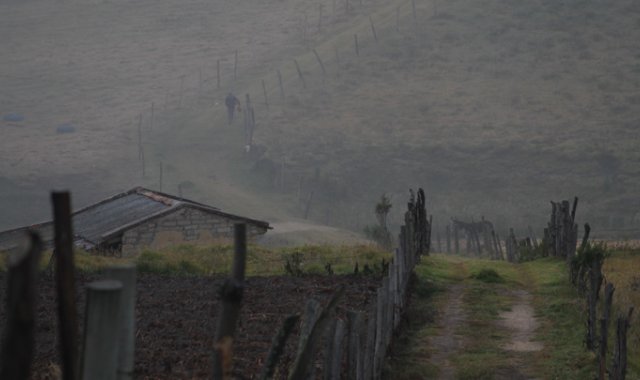 El Ministerio de Agricultura harán una reprogramación de los créditos. Colprensa