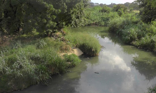 Rayner Lizarazo/La Opinión