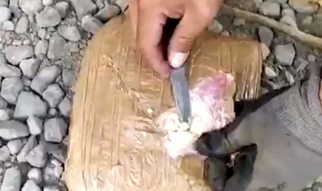 Las autoridades detuvieron a dos personas durante el decomiso de la droga. Archivo