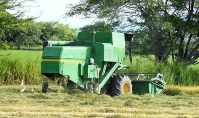 Este comportamiento obedeció principalmente a la disminución de 23,6% en el grupo de Combustibles y productos de las industrias extractivas. Colprensa