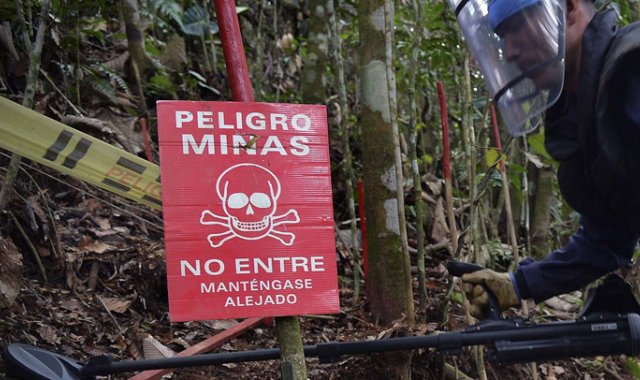 Según Acción Contra las Minas en Norte de Santander hay operaciones de desminado en: Santiago, Durania, Salazar, Arboledas, Cáchira; otros 17 municipios están sin sospecha de minas, y 18 están pendientes de intervención.
Archivo