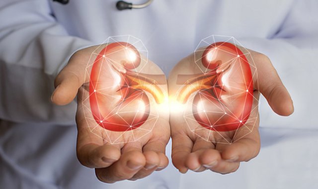 La insuficiencia renal aguda ocurre cuando los riñones pierden la capacidad de filtrar los desechos de la sangre. Cortesía