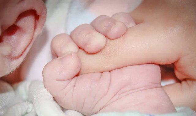 Pixabay / Referencial