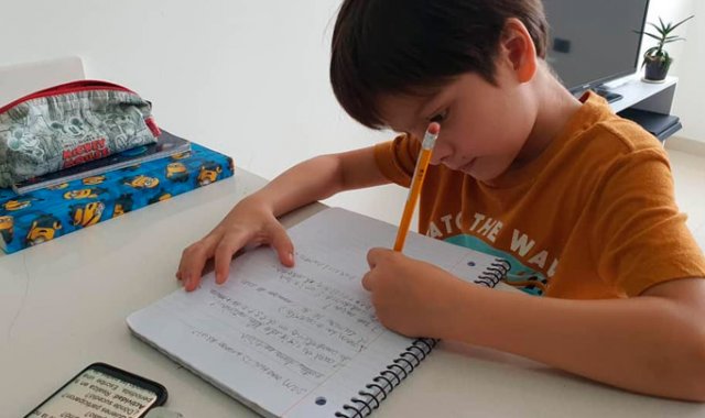 En el Táchira, Gremios docentes consideran que el período escolar 2019-2020 está perdido, pues no hay garantías para culminarlo. La Opinión