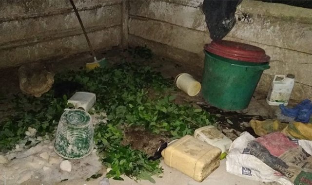 Cortesía La Opinión 