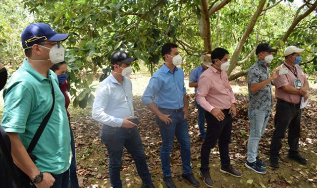 Integrantes de la Asociación de Municipios de la Provincia de Ocaña, sur del Cesar y zona del Catatumbo fortalecen el sector agropecuario. Cortesía