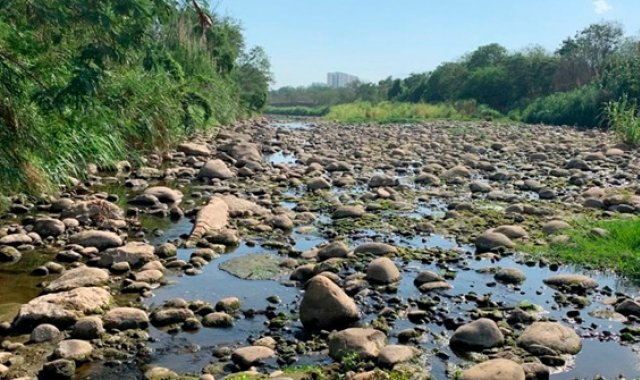 Los bajos niveles del río Pamplonita además de causar una emergencia ambiental, trae otros problemas consigo como la proliferación de mosquitos. La Opinión