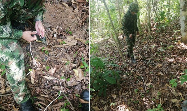 Ejército para La Opinión