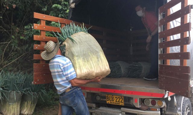 En una alternativa para el sector agropecuario se constituye los mercados campesinos móviles para llevar productos frescos a los hogares ocañeros durante la pandemia. Cortesía