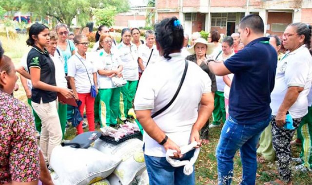 Con la implementación de las huertas caseras orgánicas buscan mejoran la seguridad alimentaria, nutrición y la economía en los hogares. Cortesía