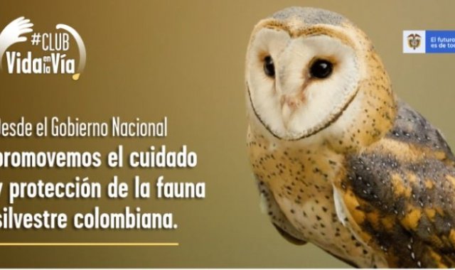 La campaña busca llamar la atención de todos los colombianos para que ayuden a divulgar el mensaje de cuidado y preservación de especies silvestres. Colprensa.