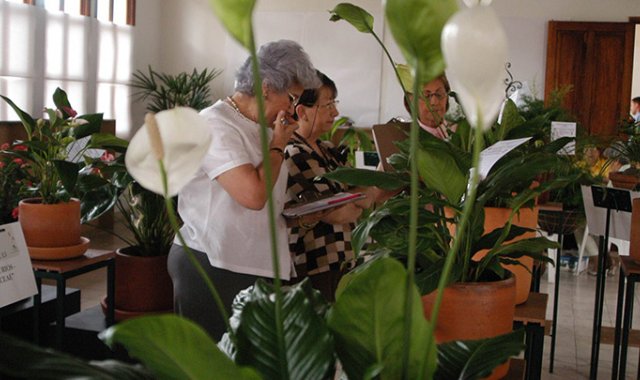 Archivo / La Opinión