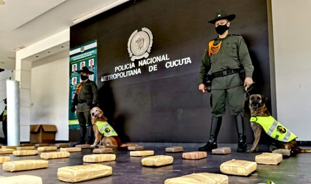 La procedencia del narcótico era la ciudad de Cali, Policía