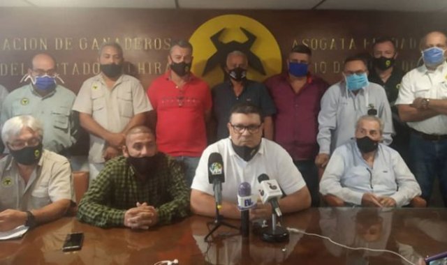 Los representantes del sector ganadero en el Táchira se reunieron para dar a conocer la situación actual de la actividad, en donde muchos ganaderos están produciendo a pérdidas. Eilyn Cardozo