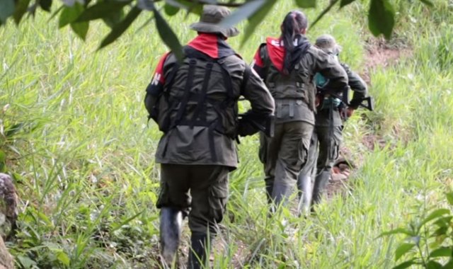“De pactarse este cese bilateral, se crearía un clima de distensión humanitaria, favorable para reiniciar los Diálogos de Paz entre el Gobierno colombiano y el Eln”, señala el grupo. Archivo