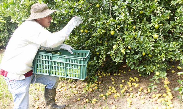 Archivo / La Opinión