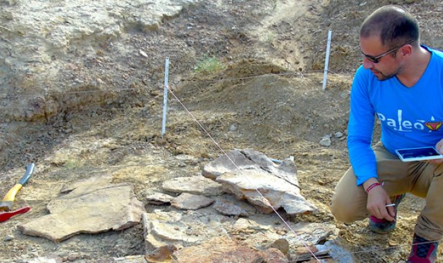 Universidad del Rosario