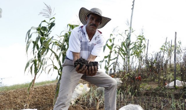 Se enseña a los campesinos a producir orgánicamente. Cortesía