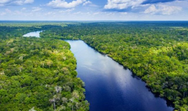 Archivo / La Opinión