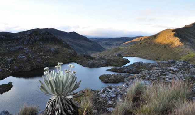 La semana pasada ya tuvo lugar un primer debate de control político sobre las medidas que se han adoptado desde el Gobierno para garantizar la protección y preservación del páramo. Archivo La Opinión