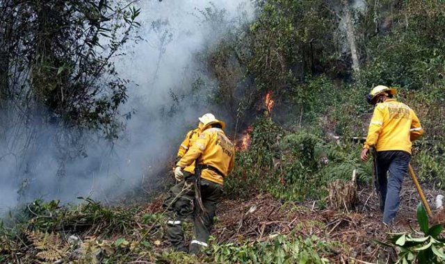 Cortesía- Gobernación Norte de Santander