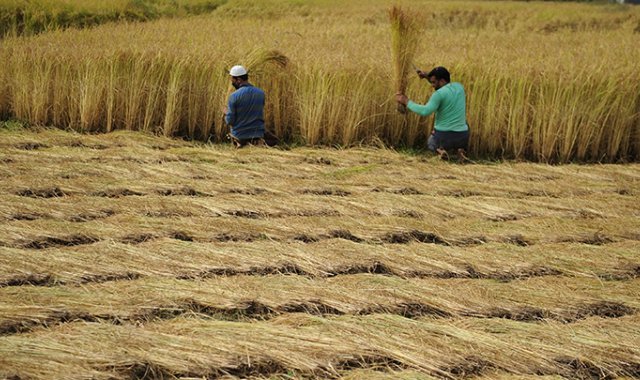 Archivo / La Opinión