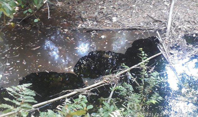 Archivo / La Opinión