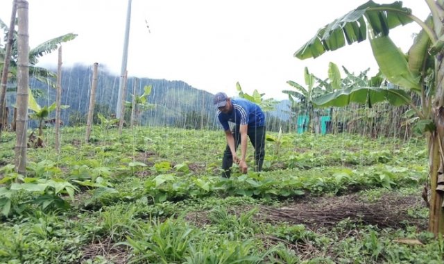 Más de 60 fincas en 8 corregimientos se han visitado para conocer su perfil de producción. Cortesía