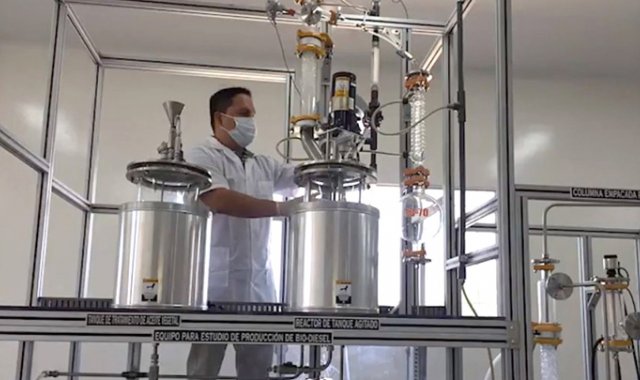 La implementación de una mezcla de biodiésel del 30 % podría generar beneficios económicos, sociales y ambientales en los 21 departamentos palmeros del territorio nacional. Archivo