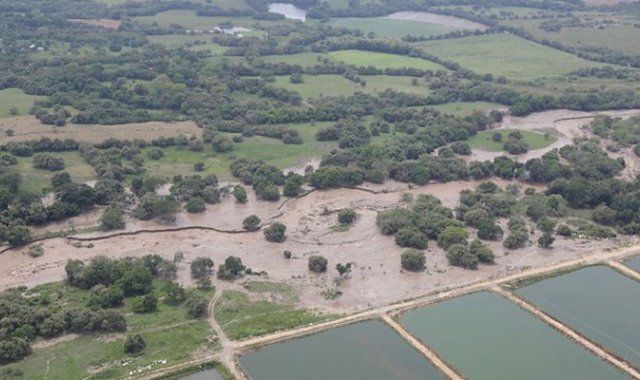 Colprensa - Ejército Nacional.