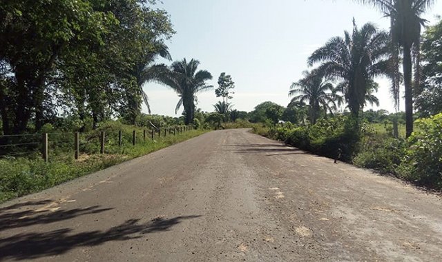 Esperan intervenir los miles de kilómetros de vías terciarias con las autoridades. Cortesía Cemex