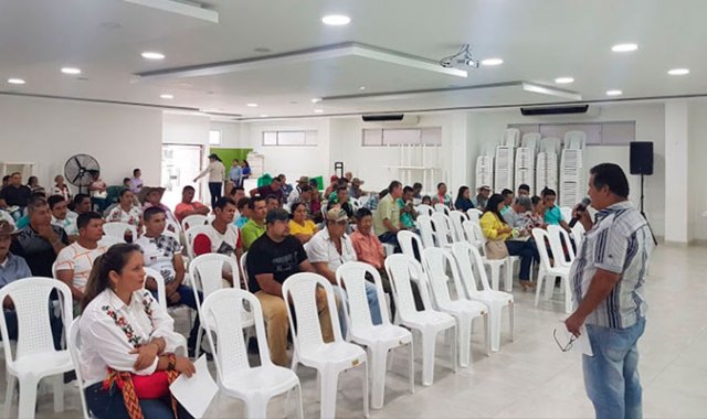 Cortesía de Palmiagro