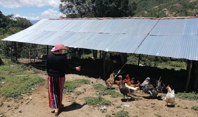 Con los recursos asignados, los beneficiarios de la Unidad de Restitución de Tierras fortalecerán sus proyectos productivos. Cortesía.