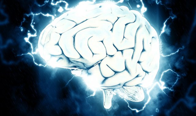 Cerebro. Pixabay reference