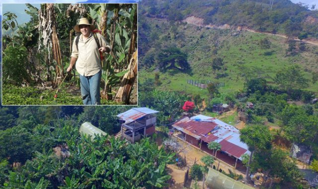 Bucarasica es uno de los municipio con tradición cafetera en la región. Cortesía