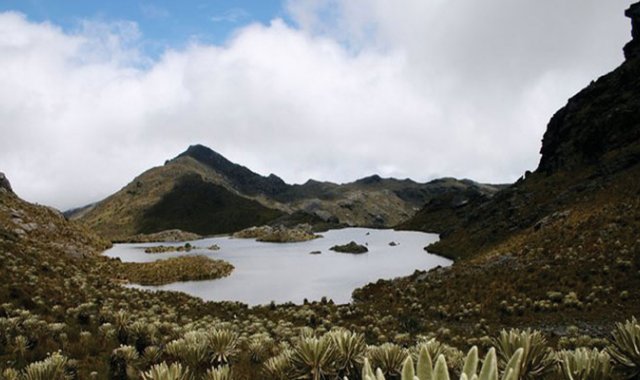 El 21 de octubre se desarrolló la quinta mesa de trabajo virtual, con el objetivo de analizar los argumentos presentados por el Ministerio, en relación con la propuesta  presentada  por Vetas. Cortesía