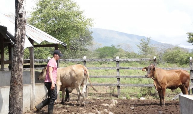 : La jornada se realizó mediante el programa Gestar, en el marco de un proyecto en el que coopera la Universidad Francisco de Paula Santander, sede Ocaña. Cortesía
