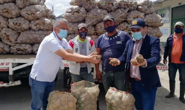 Los productores de papa de la provincia de Pamplona dicen que están trabajando a pérdida. Cortesía para La Opinión