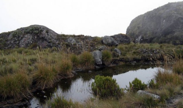 Archivo / La Opinión