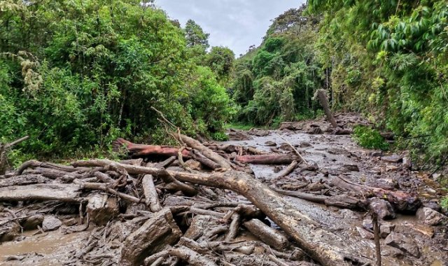 La  malla vial También se vio duramente impactada, con 122 vías y 14 puentes afectados. Cortesía