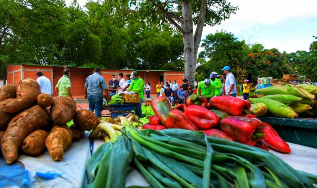 Las cosechas fueron compradas a precios justos. Se adquirieron 15 toneladas de verduras.   Cortesía/ La Opinión