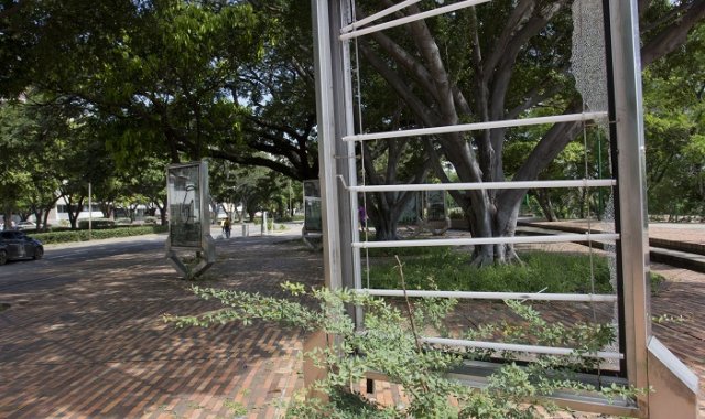 Luis Alfredo Estévez