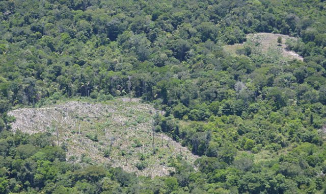 En el municipio de Tibú, en los alrededores del Parque Nacional Catatumbo Barí, los parches de deforestación más grandes tienen como origen el cultivo ilegal de hoja de coca. Fuerza de Tarea Vulcano del Ejército de Colombia.